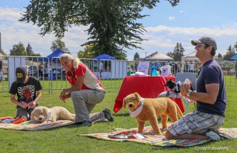 Pet First Aid Instructors Courses Pet First Aid Courses For Instructors