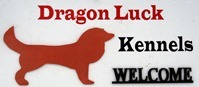 dragonluck-logo