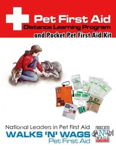 Online Learning & Pocket First Aid Kit